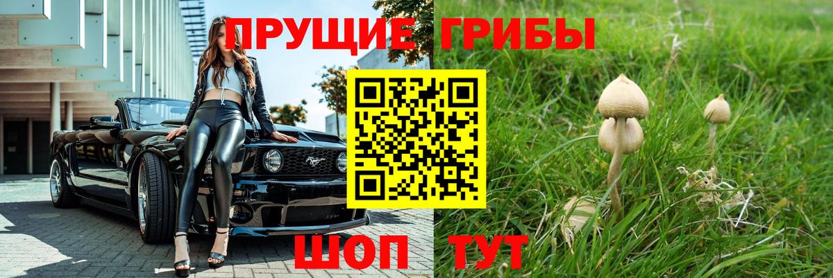 Псилоцибиновые грибы Psilocybe Астрахань