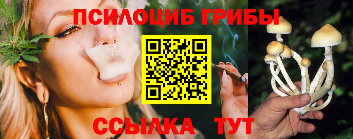 Псилоцибиновые грибы прущие грибы  Вход с VPN  Псилоцибиновые грибы Psilocybe  Астрахань 